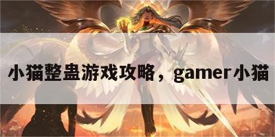 小猫整蛊游戏攻略，gamer小猫