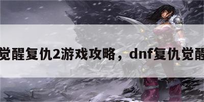 觉醒复仇2游戏攻略，dnf复仇觉醒