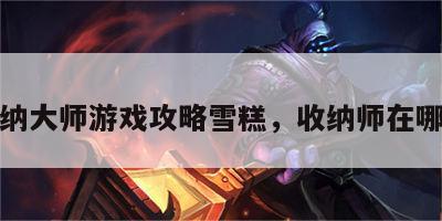 收纳大师游戏攻略雪糕，收纳师在哪找