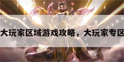 大玩家区域游戏攻略，大玩家专区