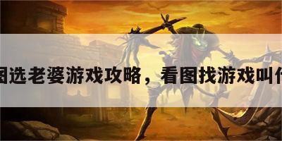 看图选老婆游戏攻略，看图找游戏叫什么
