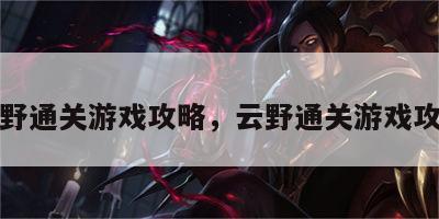 云野通关游戏攻略，云野通关游戏攻略
