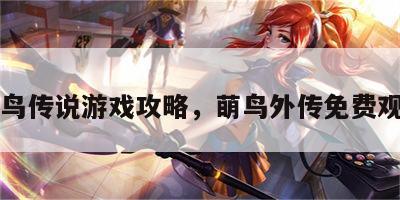 萌鸟传说游戏攻略，萌鸟外传免费观看