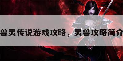 兽灵传说游戏攻略，灵兽攻略简介