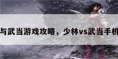 少林与武当游戏攻略，少林vs武当手机游戏