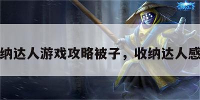 收纳达人游戏攻略被子，收纳达人感悟