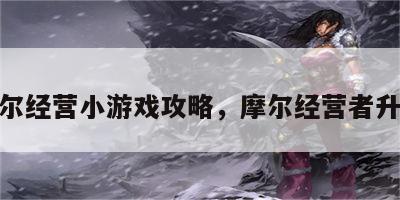 摩尔经营小游戏攻略，摩尔经营者升级