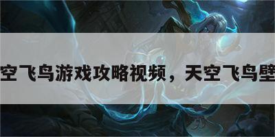 天空飞鸟游戏攻略视频，天空飞鸟壁纸