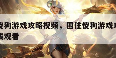 围住傻狗游戏攻略视频，围住傻狗游戏攻略视频在线观看