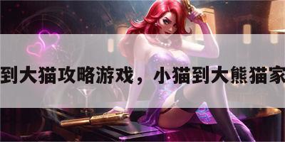 小猫到大猫攻略游戏，小猫到大熊猫家做客