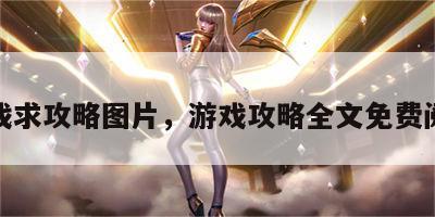 游戏求攻略图片，游戏攻略全文免费阅读