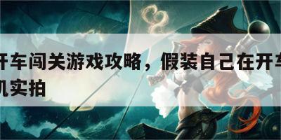 假装开车闯关游戏攻略，假装自己在开车的图片手机实拍