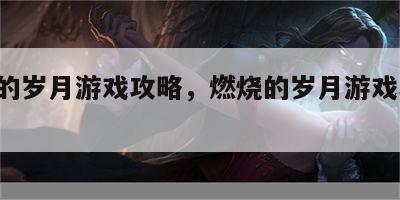 燃烧的岁月游戏攻略，燃烧的岁月游戏攻略 电脑