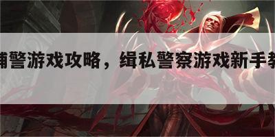 缉私辅警游戏攻略，缉私警察游戏新手教程怎么过