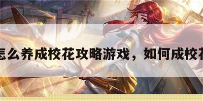 怎么养成校花攻略游戏，如何成校花