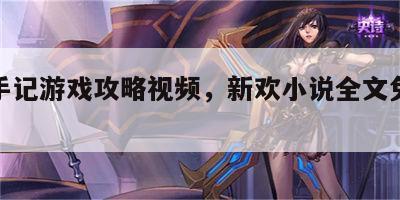 新欢手记游戏攻略视频，新欢小说全文免费番外