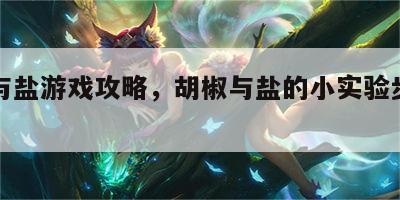 胡椒与盐游戏攻略，胡椒与盐的小实验步骤图解