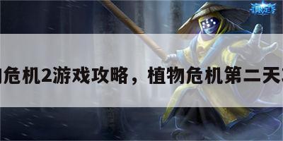 植物危机2游戏攻略，植物危机第二天攻略