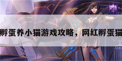 孵蛋养小猫游戏攻略，网红孵蛋猫