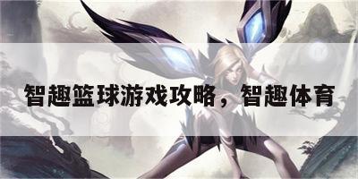 智趣篮球游戏攻略，智趣体育