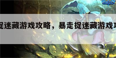 暴走捉迷藏游戏攻略，暴走捉迷藏游戏攻略图解