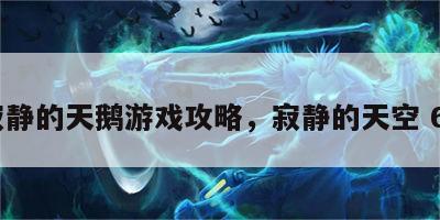 寂静的天鹅游戏攻略，寂静的天空 69