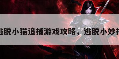 逃脱小猫追捕游戏攻略，逃脱小妙招