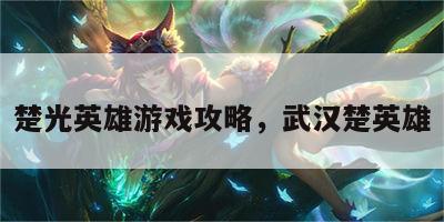 楚光英雄游戏攻略，武汉楚英雄