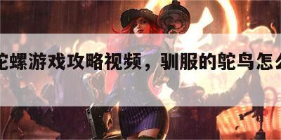 驯服陀螺游戏攻略视频，驯服的鸵鸟怎么骑上去