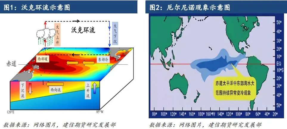 【专题报告】拉尼娜对全球棉花产量的影响