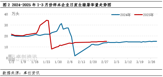 磨底还是反转？——3月生猪行情影响因素大盘点