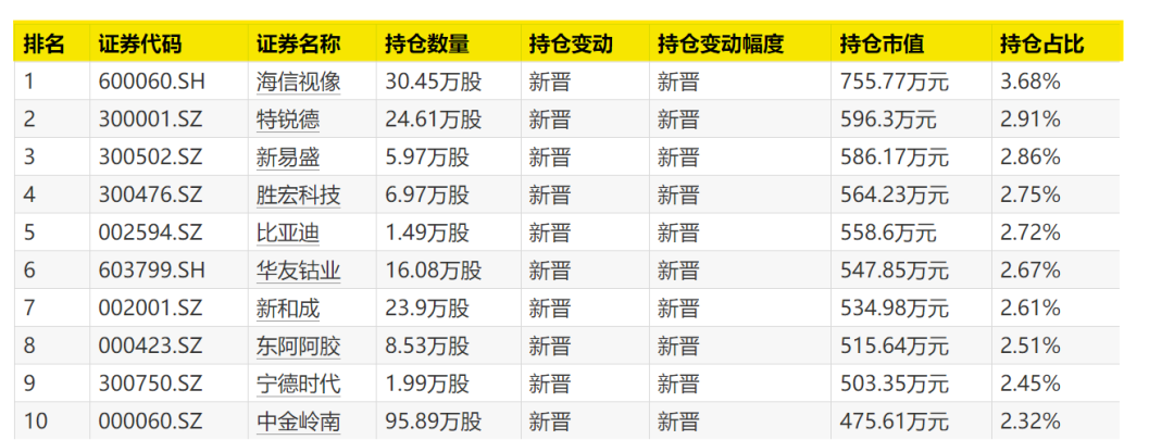 大曝光！次新基金，猛买这些股