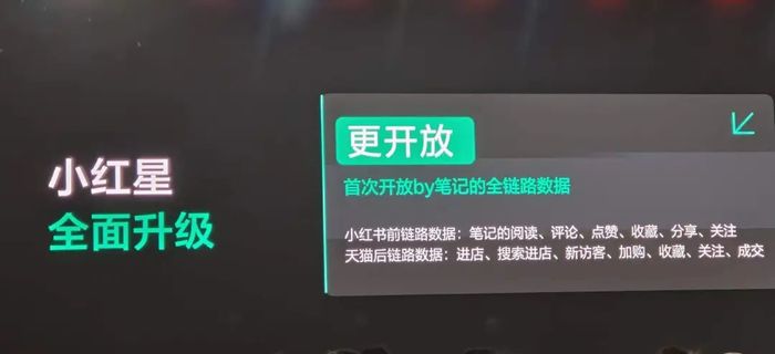 为“淘天”种草，小红书留下了什么？