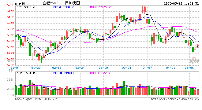 光大期货软商品类日报5.12