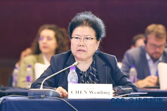 陈文玲批霸权国家无视全球规则：把国内法律变成国际法律